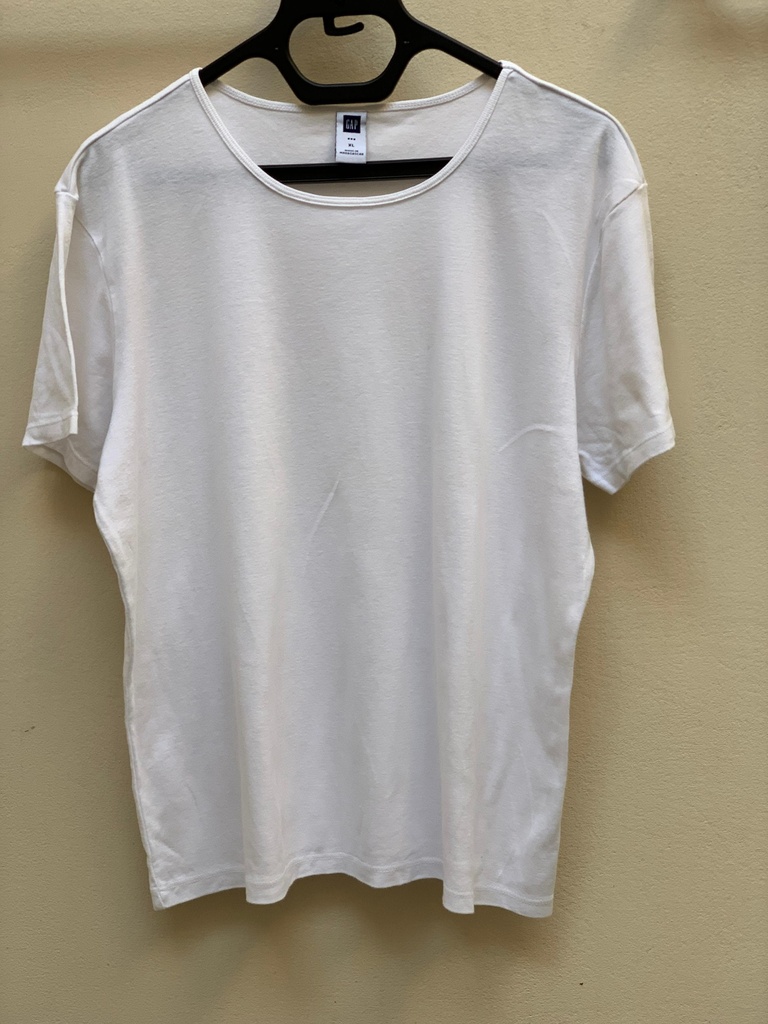 Basic White T Shirt