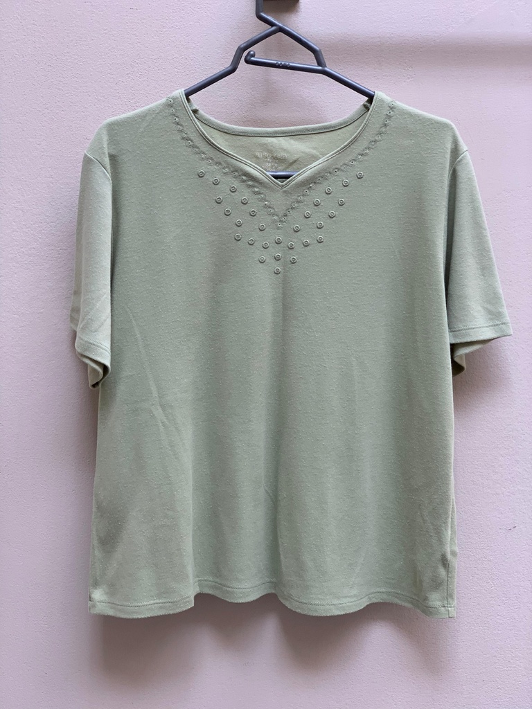Budding Green embroidered shirt