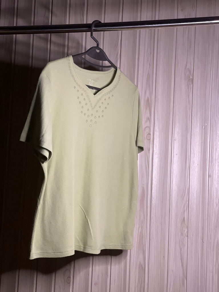 Budding Green embroidered shirt