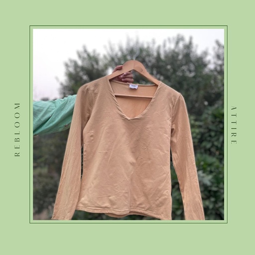 BROWN-BEIGE TOP
