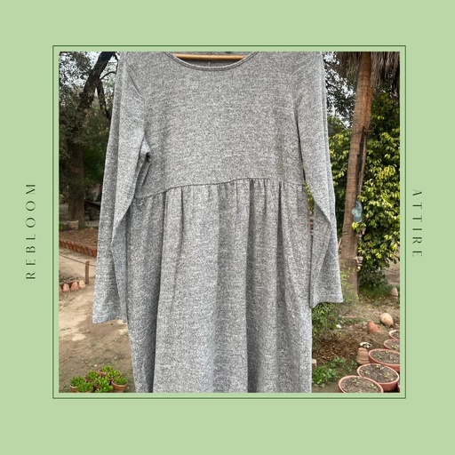 Long Sleeves Mini Dress