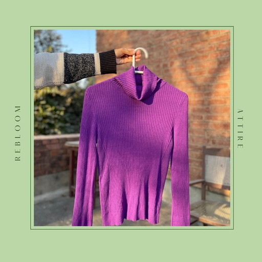 Turtleneck Fitted Top