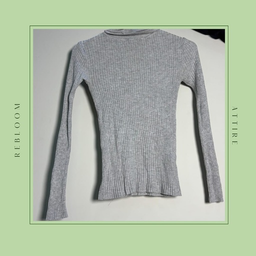 Slim Fitted Top