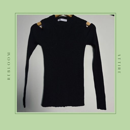 Zara Fitted Top